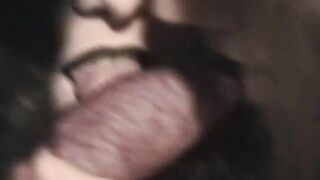 Dog Fuck and Suck Galore