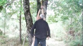 Tied up to a tree, lashed and penetrated